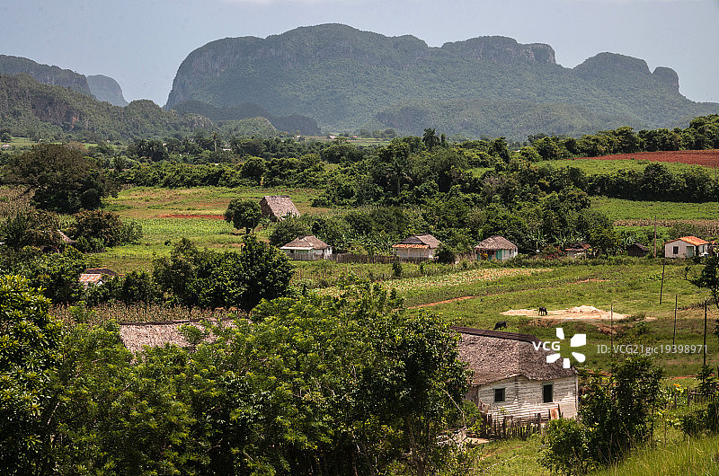 莫戈特斯图片素材