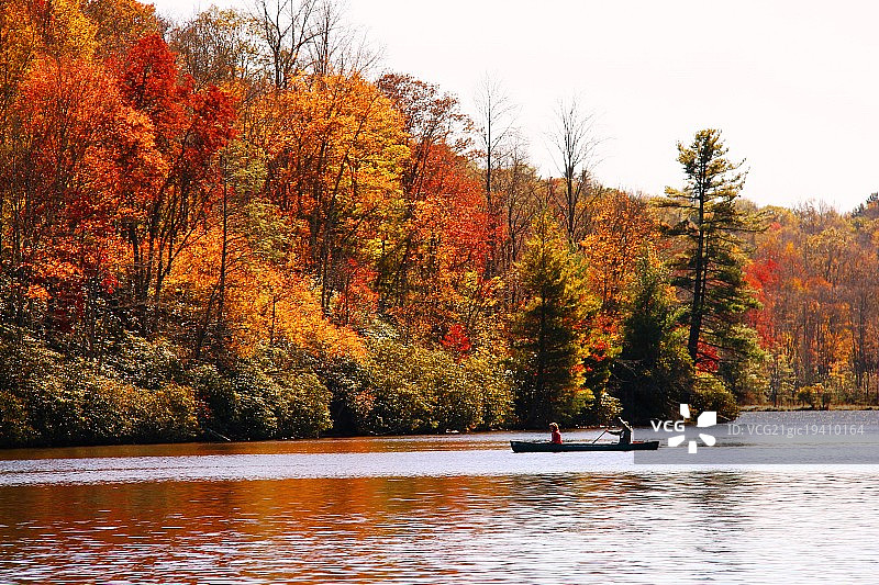 秋季划桨图片素材