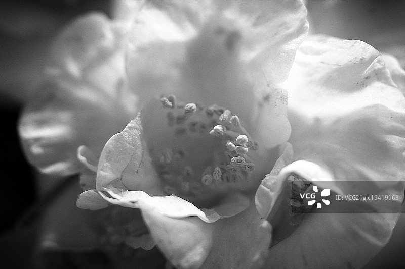 粉色单色图片素材