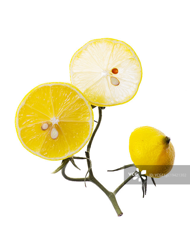 柠檬树图片素材