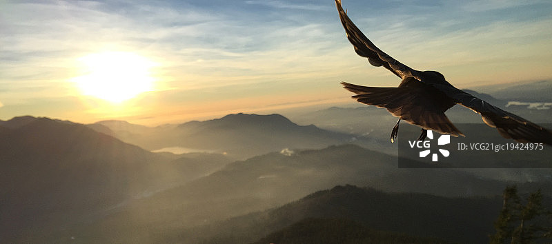 与我一起飞翔图片素材