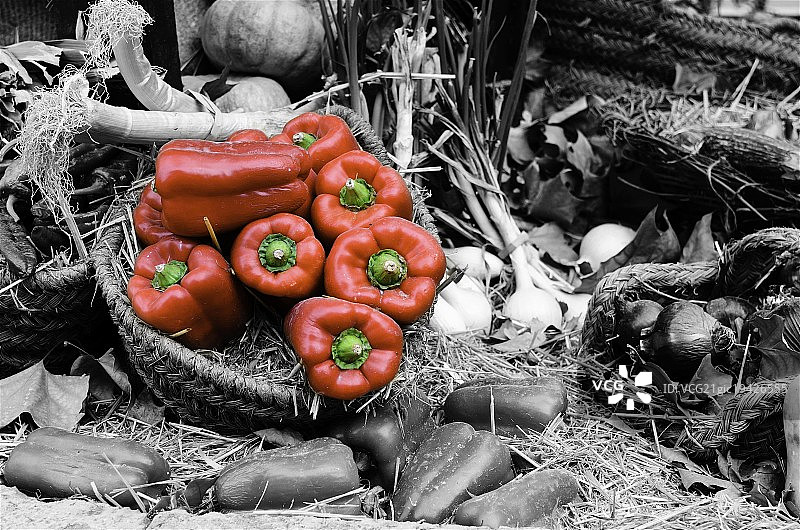 红辣椒图片素材