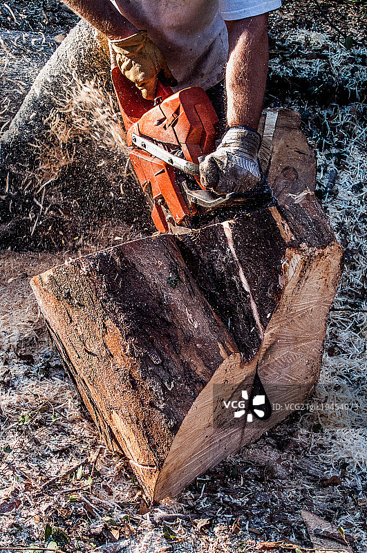 枫叶切割图片素材