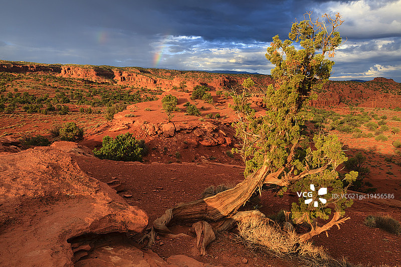国会礁国家公园图片素材