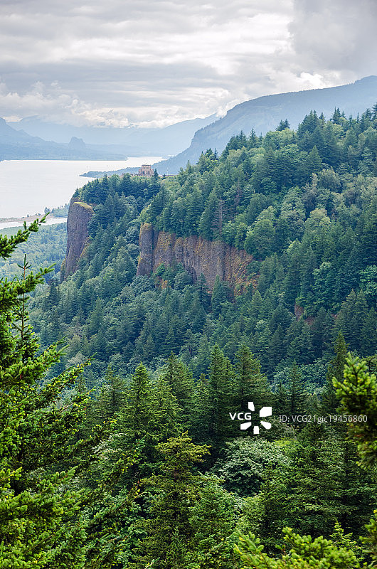 哥伦比亚河峡谷森林图片素材
