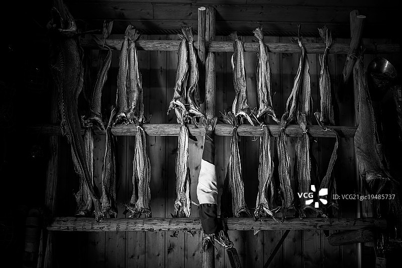 卡尔森摄影作品图片素材