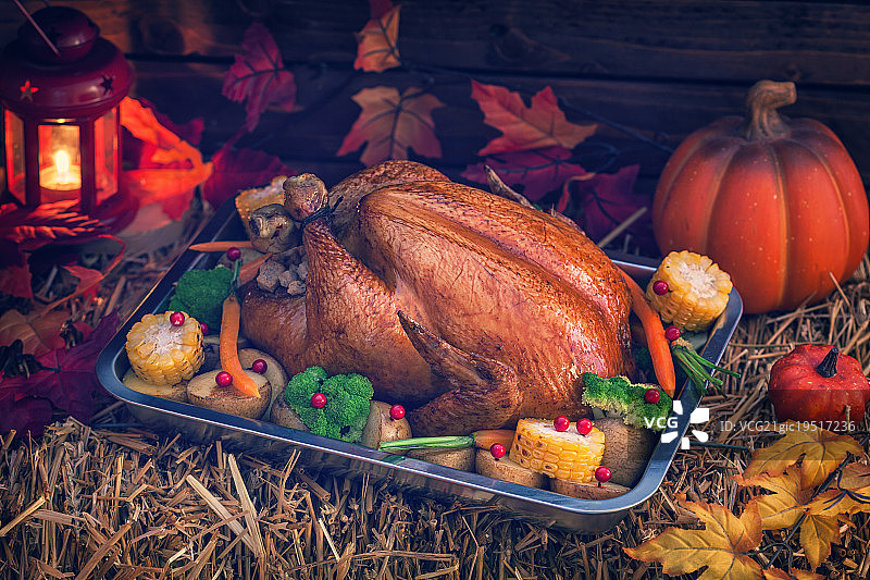烤感恩节火鸡图片素材