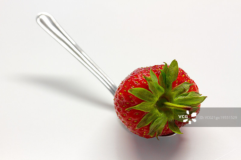 野生草莓图片素材