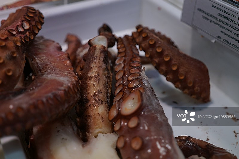 冰上的触手图片素材