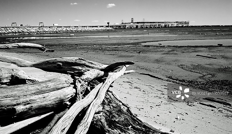 潮滩和切萨皮克湾大桥图片素材