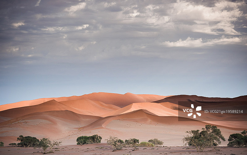 苏丝斯黎色调图片素材