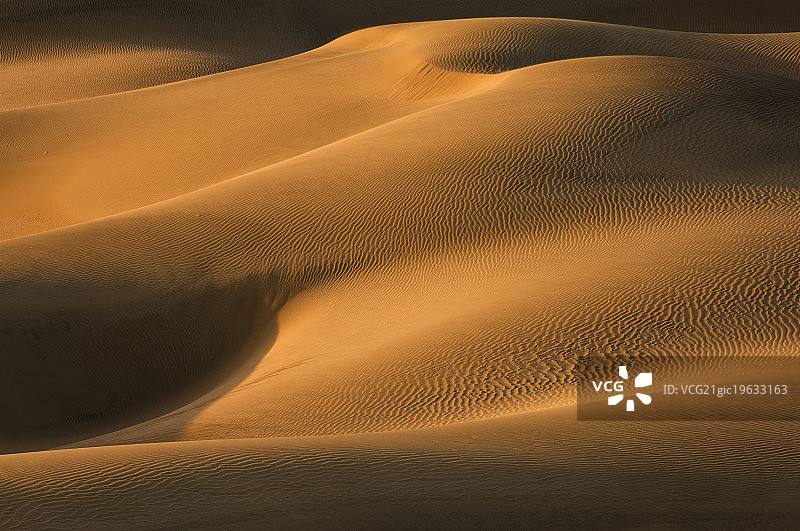 牧豆树平原沙丘图片素材