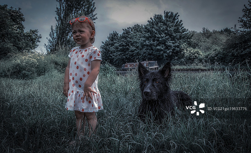 看门狗图片素材