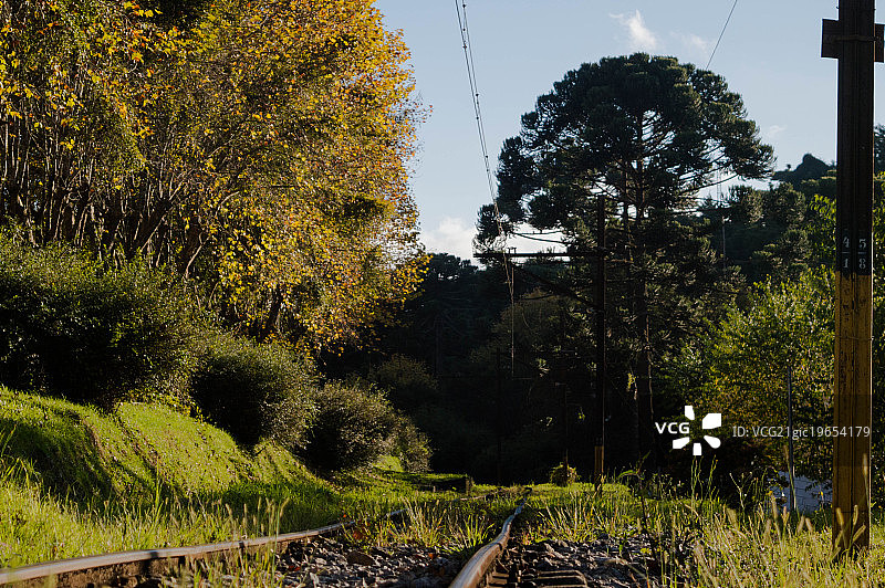 巴西坎普斯杜若尔当图片素材