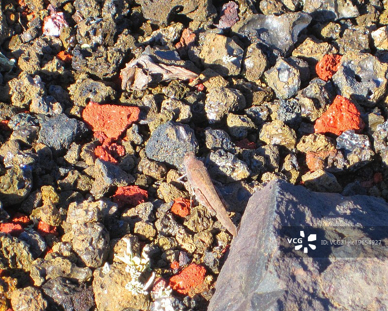 兰萨罗特岛的熔岩石图片素材