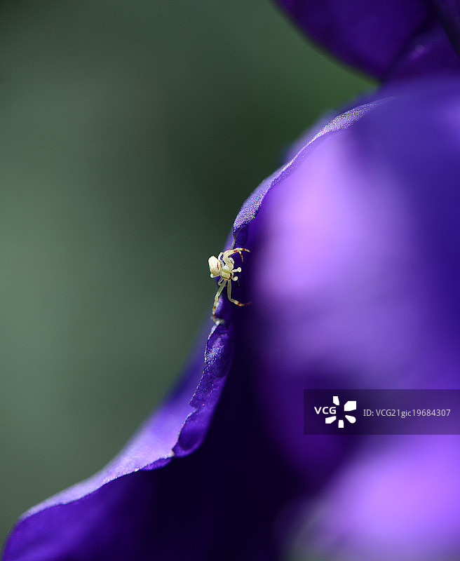 哈萨克斯坦阿拉木图图片素材