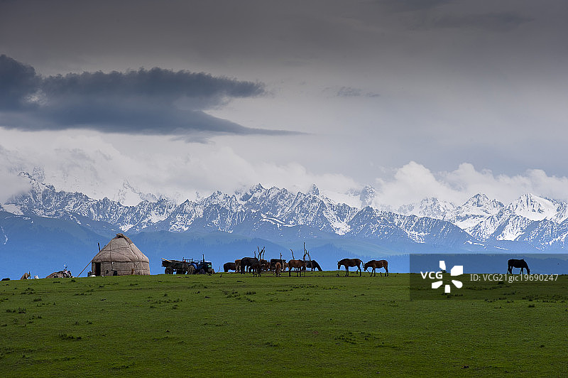 新疆伊犁草原图片素材