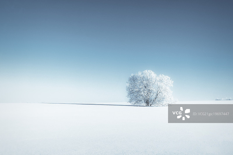 冬季忧郁图片素材