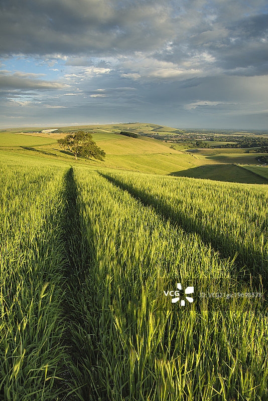 南唐斯丘陵斯泰宁碗美丽的夏日日落景观图片素材