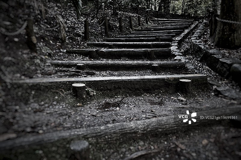 吟游诗人楼梯图片素材