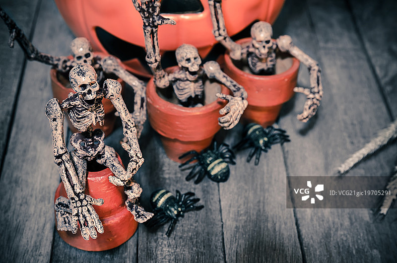 木质背景上的骷髅静物图片素材