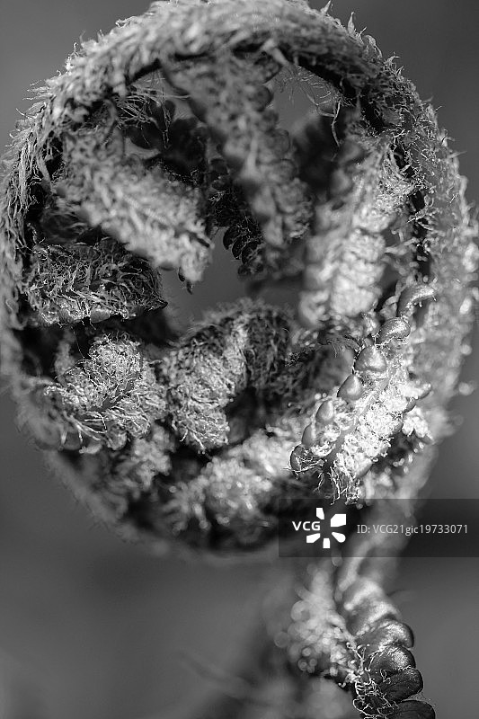 摄影师：yannick le goff图片素材