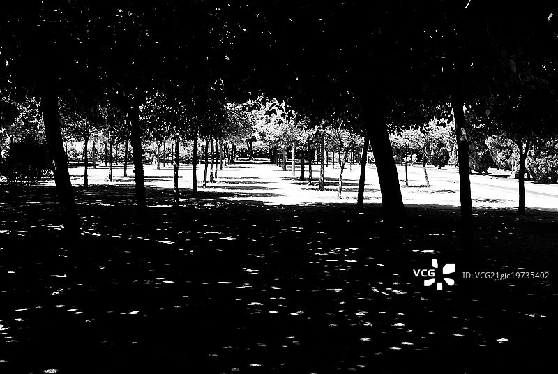 西班牙巴伦西亚的斑驳光影图片素材