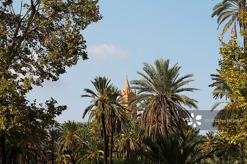 棕榈树与巴勒莫大教堂图片素材