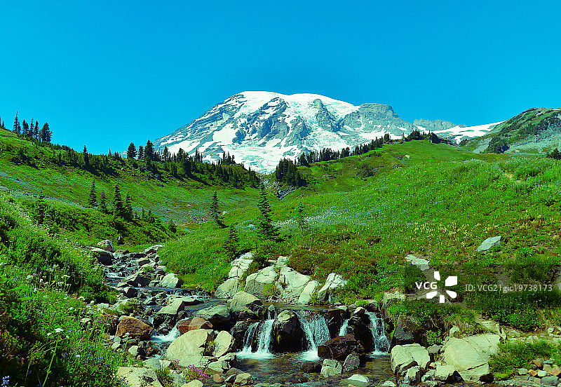 雷尼尔图片素材