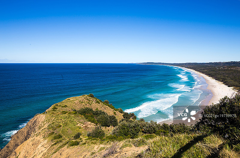 海湾森林图片素材