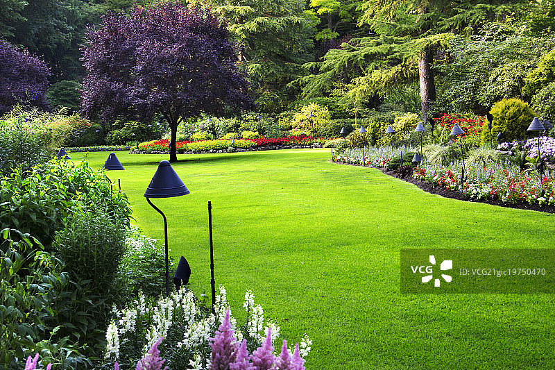 布查特花园草地图片素材
