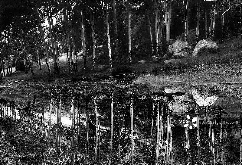 倒影池图片素材