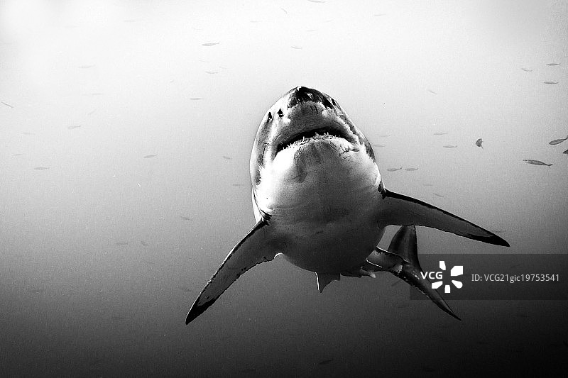 从深处图片素材