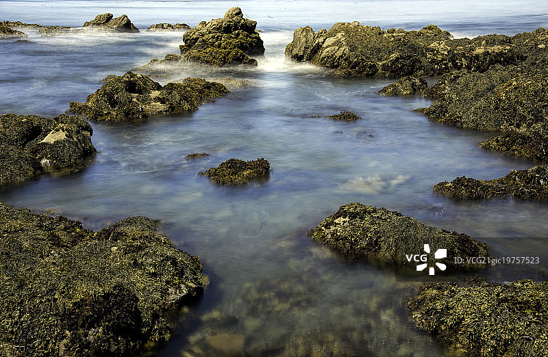潮汐池III图片素材