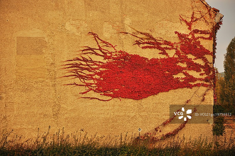 维也纳美景宫的秋天图片素材