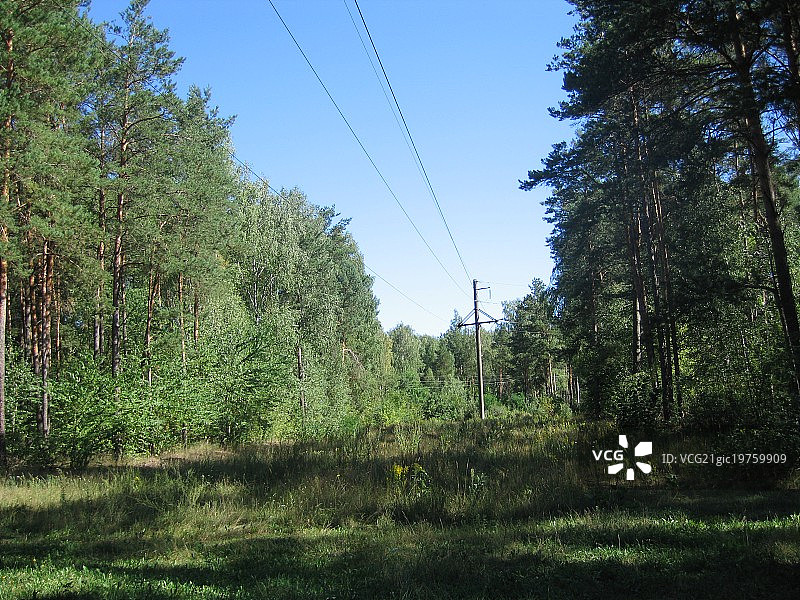 林间空地图片素材
