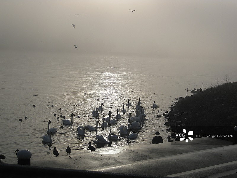 阿尔萨斯图片素材