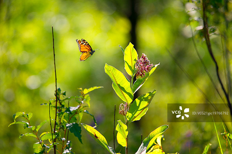 永动机图片素材