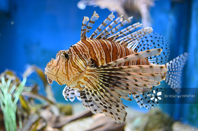 太多了图片素材