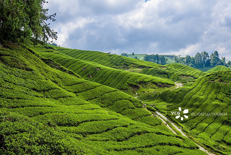 金马仑高原公路图片素材