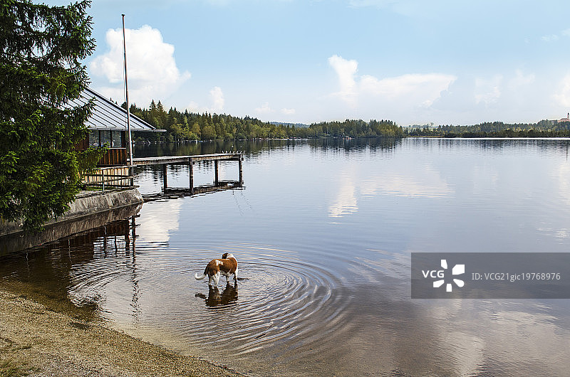 上巴伐利亚基尔希湖图片素材