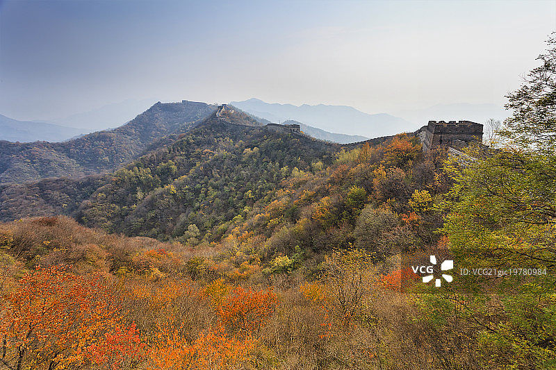 秋季与墙图片素材