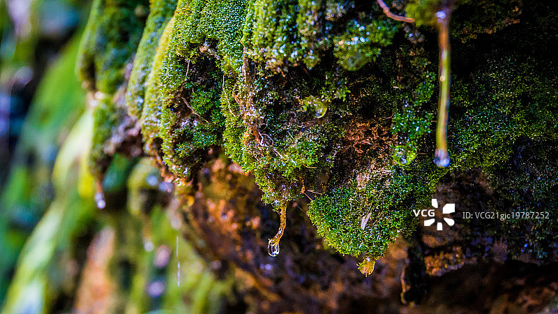 通托天然桥图片素材