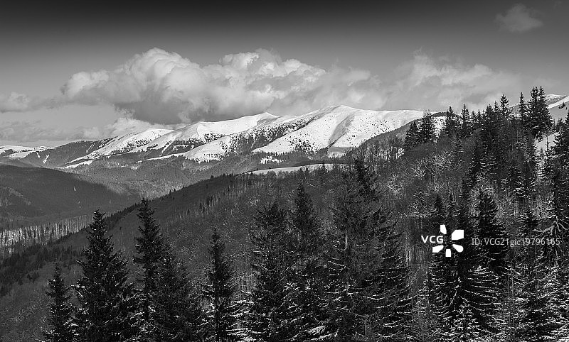雪冬漂浮与堆积研究图片素材