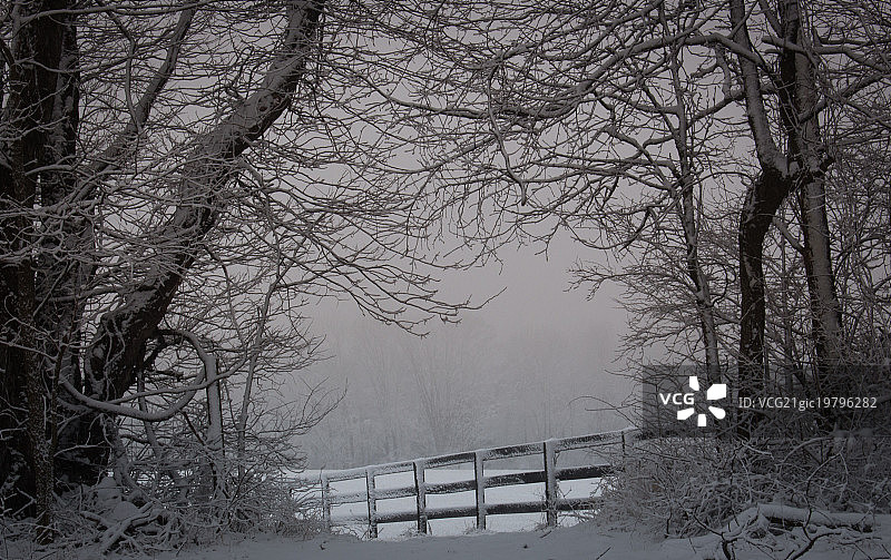 冬天的早晨图片素材