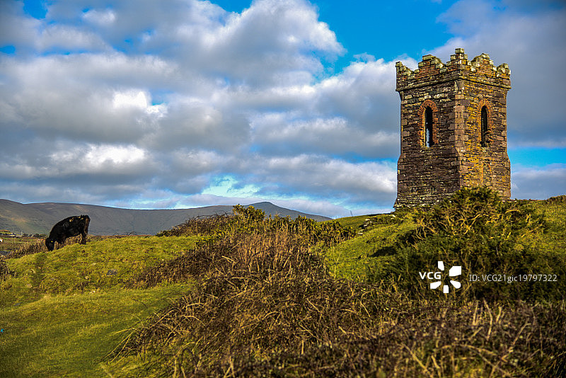 靠近爱尔兰凯里郡丁格尔湾图片素材
