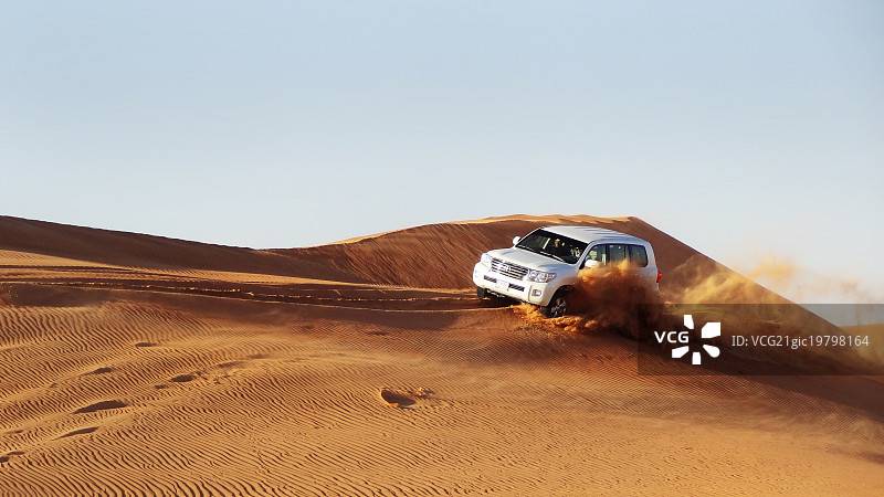 Safari飞溅图片素材