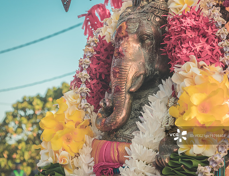 甘尼萨图片素材