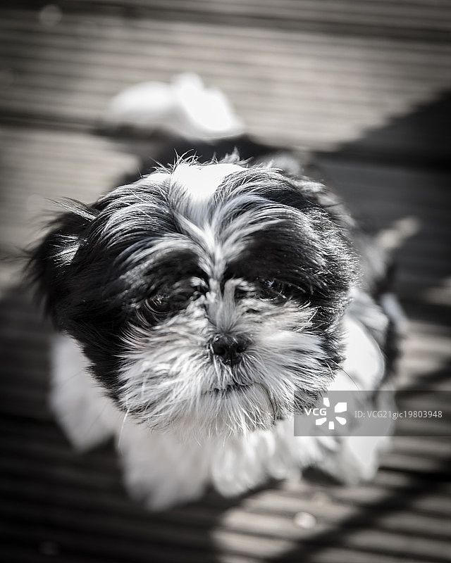 英国赫顿图片素材