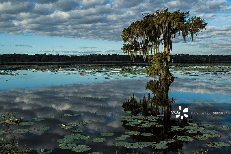 马丁湖图片素材
